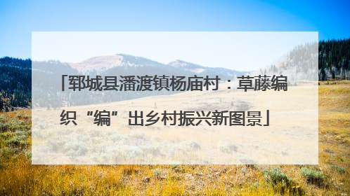 郓城县潘渡镇杨庙村：草藤编织“编”出乡村振兴新图景